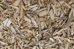 biomass boilers Lumb